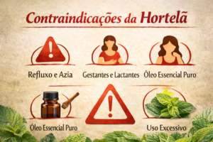 contraindicação da hortelã na fitoterapia